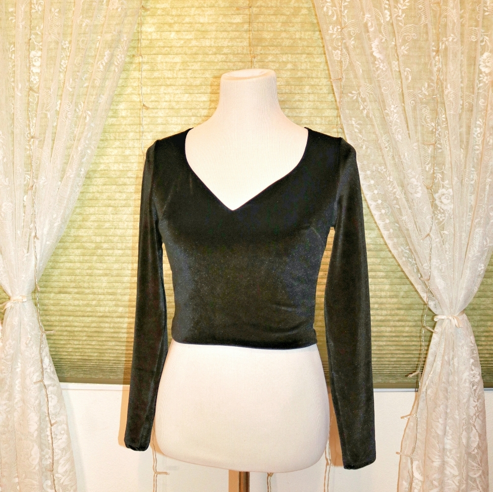 Express cropped black velvet top